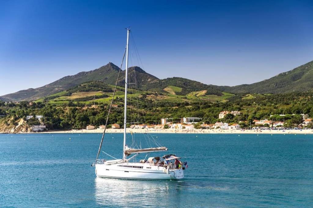 "Les Bambous" Studio Cosy Climatise Au Calme De 37 M2 Parking Gratuit A Argeles Sur Mer Екстериор снимка